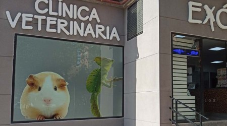 Clínica Veterinaria Animales Exóticos